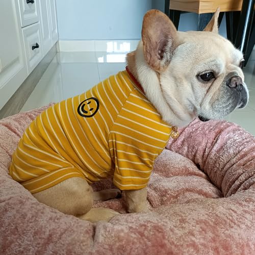Wiz BBQT Pet Apparel in Pet 3XL - Chest 22.8", Yellow