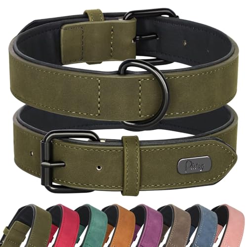 Didog Animal Collar in M: Fit Neck 11-14"(10-20 lbs), Dark Green