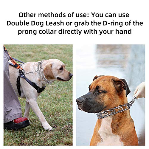 Aheasoun Animal Collar in Medium, 3.0mm, 19.6-Inch, Silver