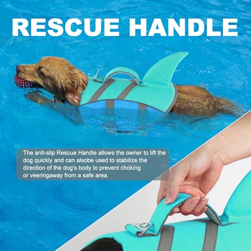 Doglay Pet Apparel in X-small, Blue+Aquagreen