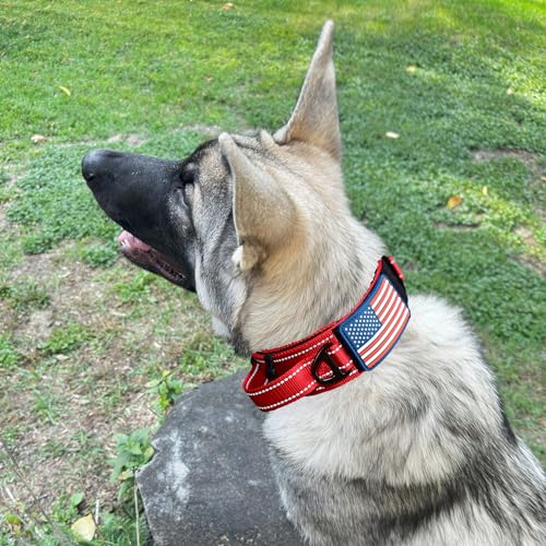 DEZIZEUSK9 Animal Collar in 16-25 INCH, RED-COBVEL2