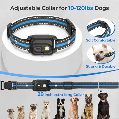 RPZ Animal Collar in 1 Receiver, Blue