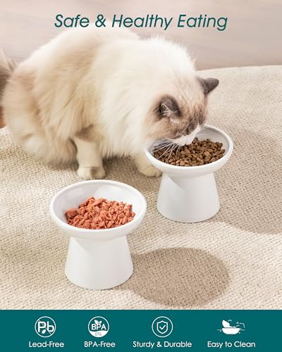 vancasso Pet Feeder in 2 Pack-Food Bowls, White