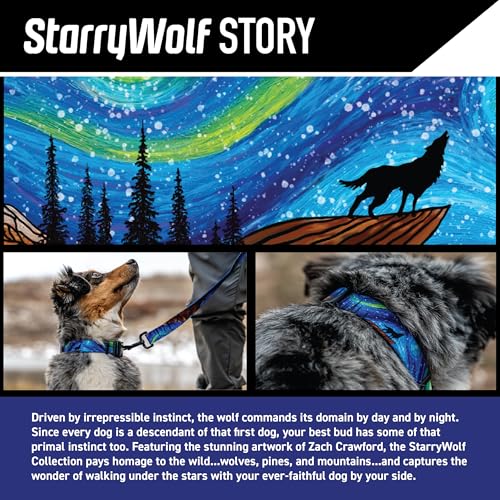 Wolfgang Man & Beast Animal Harness in Small (5/8 Inch x 12-18 Inch), StarryWolf Print