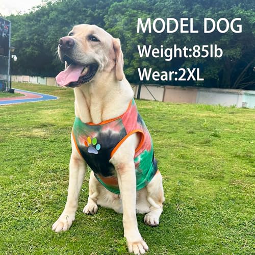 PriPre Pet Apparel in Medium, Vest Green