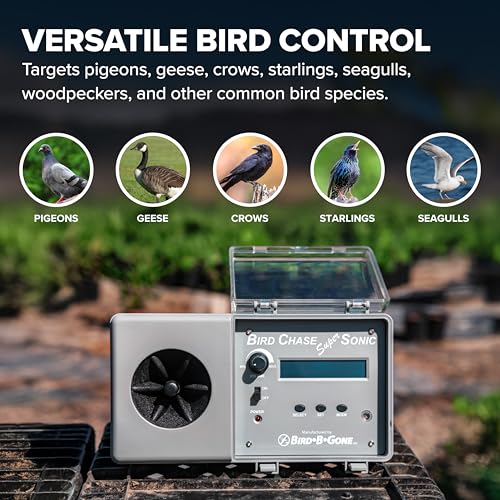Bird B Gone Outdoor Living in 6 lb., Premium