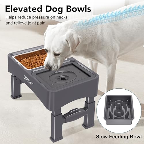 UPSKY Pet Feeder in D-3 in 1 (Grey)