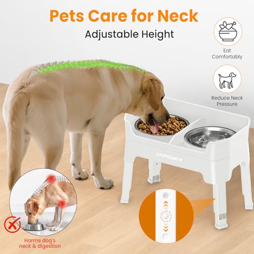 URPOWER Pet Feeder in Large, Light Grey