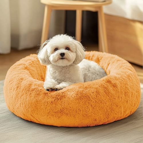 JOLLYVOGUE Pet Bed Mat in 20", Orange