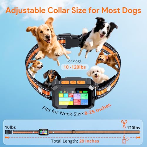 Meowant Animal Collar in Medium/Large, Orange