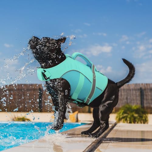 Queenmore Pet Apparel in X-Small, LightBlue