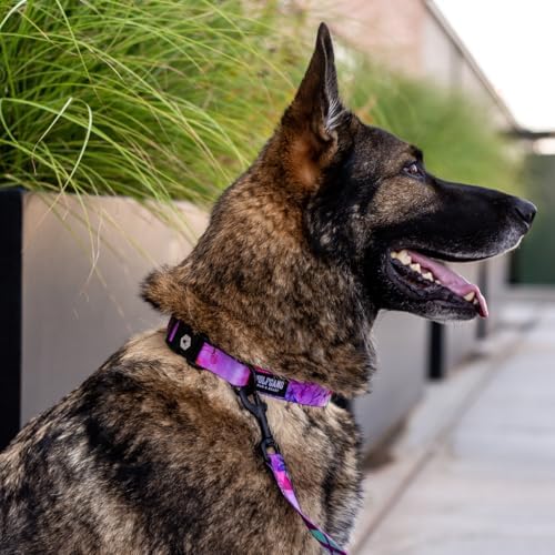 Wolfgang Man & Beast Animal Collar in Large (1 Inch x 18-26 Inch), DayDream Print