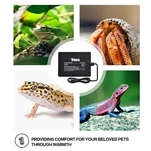 iPower Pet Supplies in 6" X 8", Black-1 Pack