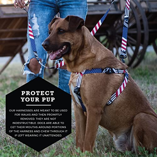 Wolfgang Man & Beast Animal Harness in Medium (5/8 Inch x 16-24 Inch), PledgeAllegiance Print