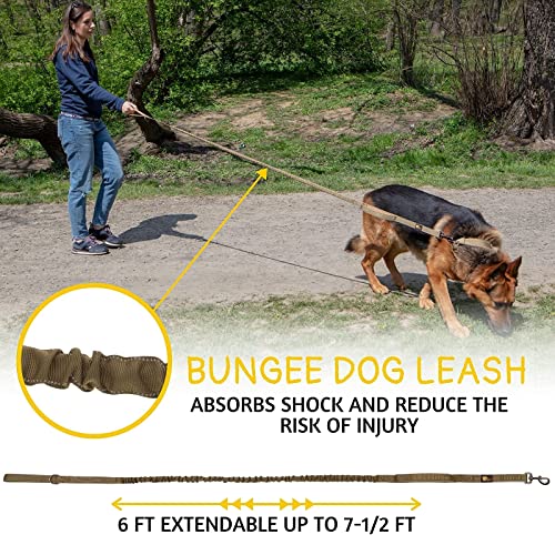 ADITYNA Leash in Medium, Large and Extra-Large, Ranger Green