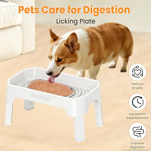URPOWER Pet Feeder in Large, Light Grey