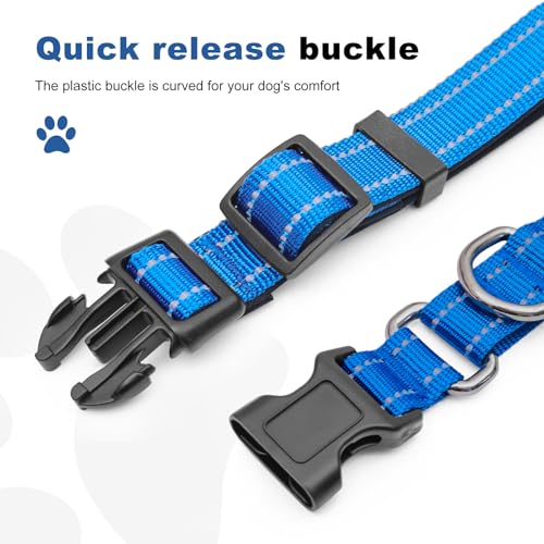 GDLKPS Animal Collar in XS:3/4" Wide for 11.5"-13.5" Neck, Blue