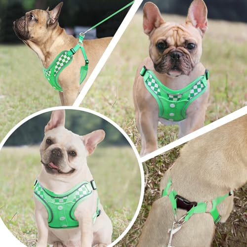 SAEGYPET Animal Harness in Medium, Green (denim)