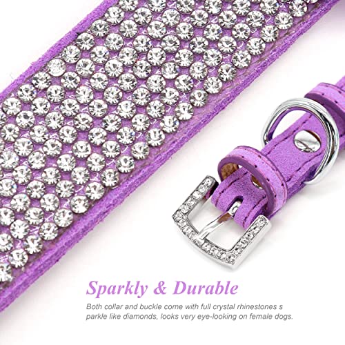 PET ARTIST Animal Collar in XS:Neck 7.5-10"(3-7 lbs), Purple