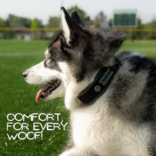 WaggyLife Animal Collar in XS (11.8"-13.8"), Green