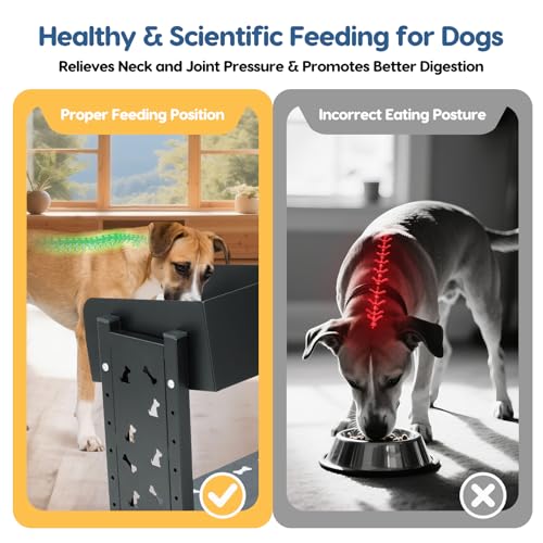 YeeJinHong Pet Feeder in Black