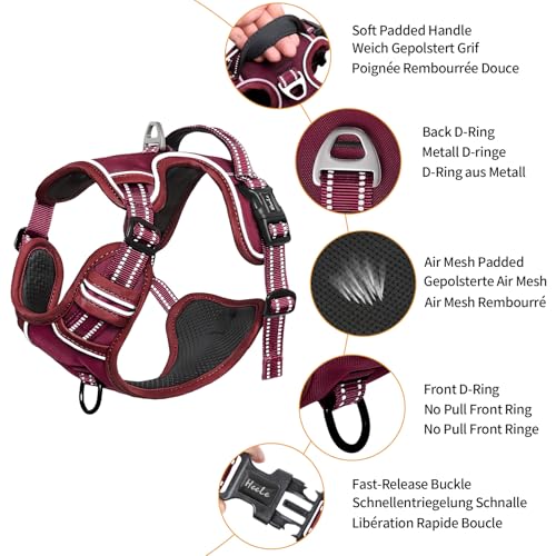 HEELE Animal Harness in S, Burgundy Red