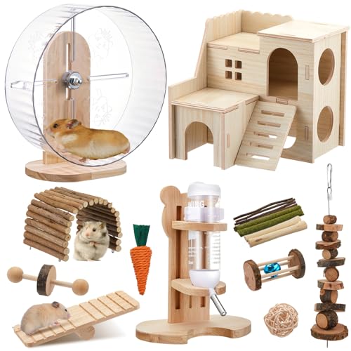 Sonwyoung Pet Activity Structure in natural