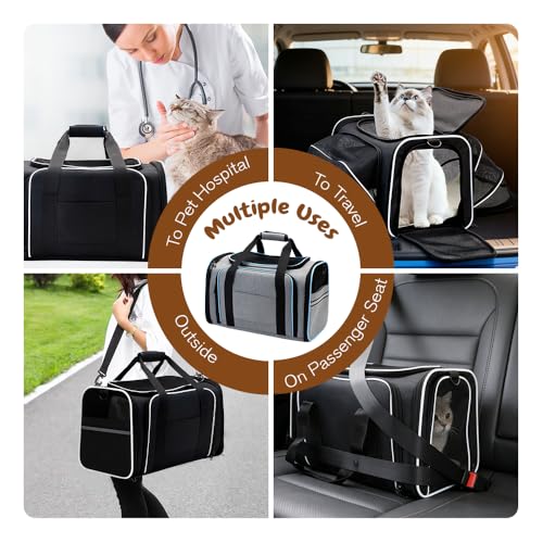 Srinlon ㅤ Animal Carrier in 18.0"L x 11.0"W x 11.0"H, Black