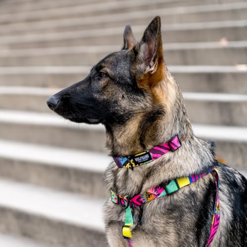 Wolfgang Man & Beast Animal Harness in Medium (5/8 Inch x 16-24 Inch), RetroFit Print
