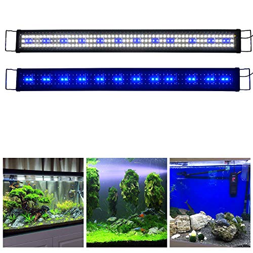 KZKR Lamp in Blue and White 48-60 inch, Blue,White
