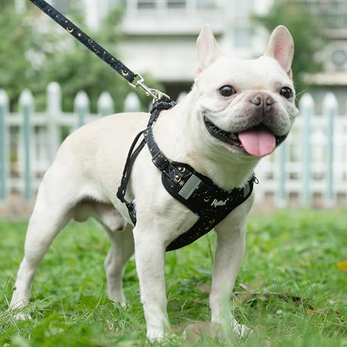 PUPTECK Animal Harness in L (25-33lbs, Chest 20"-25"), #2 Black(Stars Print)