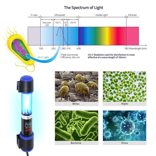 Ayamaxon Electric Light in Timer 5w, Timer