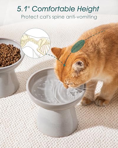 vancasso Pet Feeder in 2 Pack-Food & Water Bowls, Grey