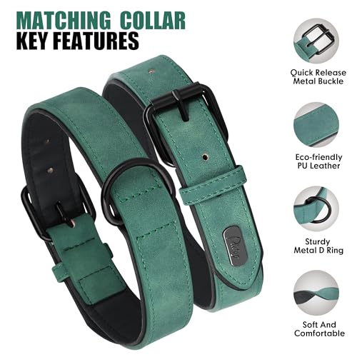 Didog Animal Collar in L: Fit Neck 14-18"(22-44 lbs), Green Set