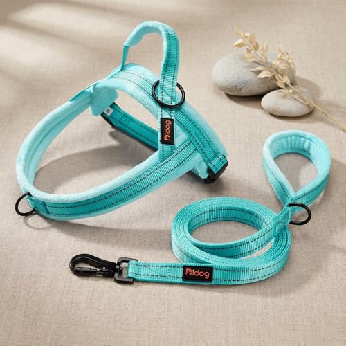 Didog Leash in 3/4''x 6 FT, Teal