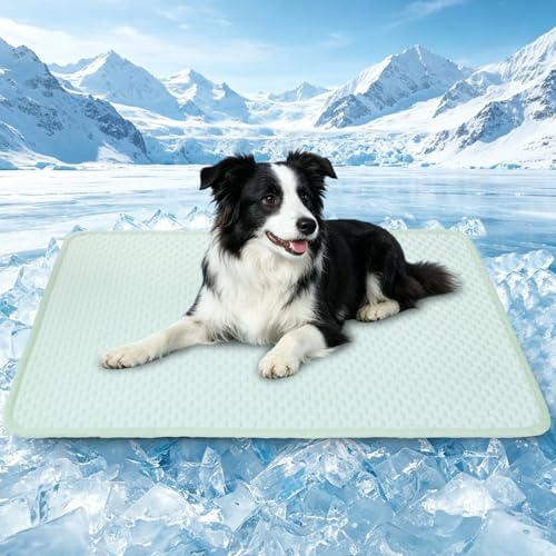 SOMOYA Pet Bed Mat in Medium (29.5x18.8 IN), Green