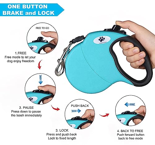 CROWN PAWS Leash in Small, Blue