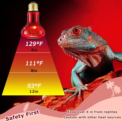 HARTOMPET Light Bulb in 60W - 2.5", Red