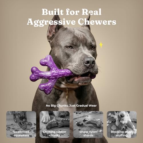 Frienhund Pet Toy in 3 Pack, Deep purple-3-Pack