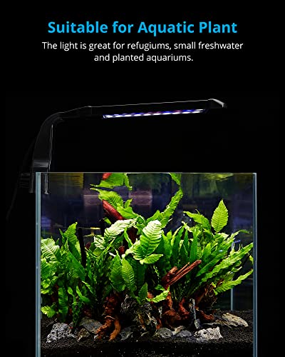 NICREW Lamp in For Plants, Black