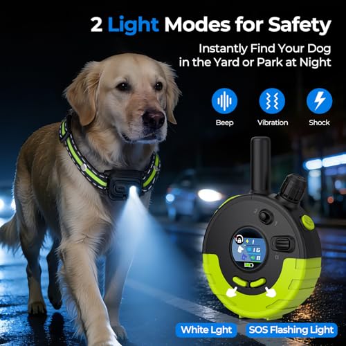 RPZ Animal Collar in 1 Receiver, Green