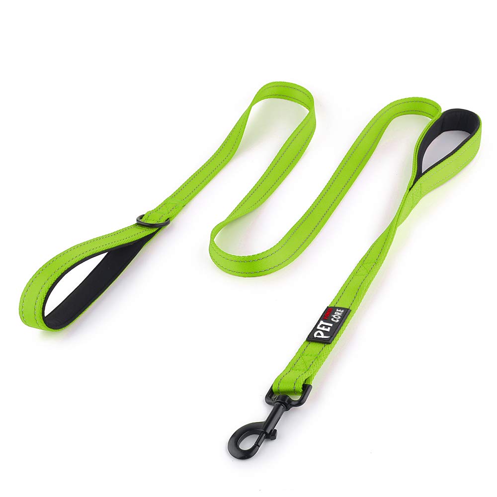 PLUTUS PET Leash in 4 FT, Green