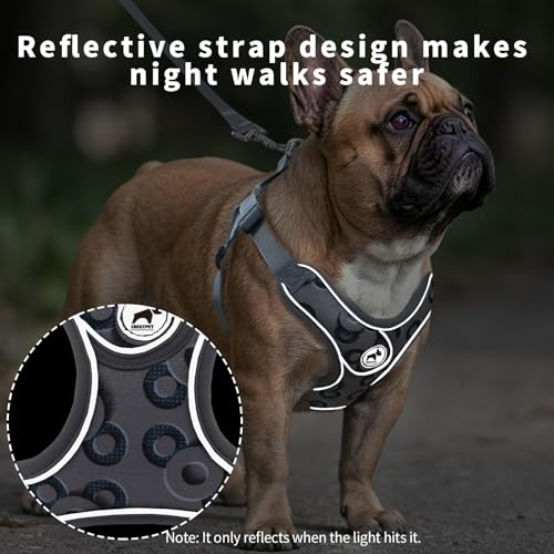 SAEGYPET Animal Harness in XS, Gray-2