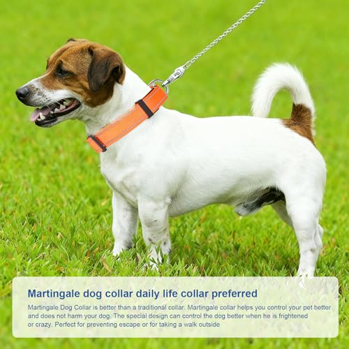 GDLKPS Animal Collar in XS:3/4" Wide for 11.5"-13.5" Neck, Orange