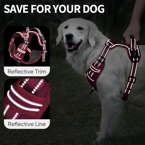 HEELE Animal Harness in S, Burgundy Red