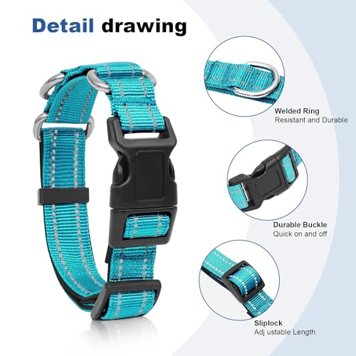 GDLKPS Animal Collar in XS:3/4" Wide for 11.5"-13.5" Neck, Azure Blue