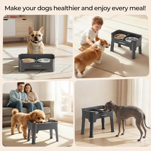 URPOWER Pet Feeder in Small, Grey