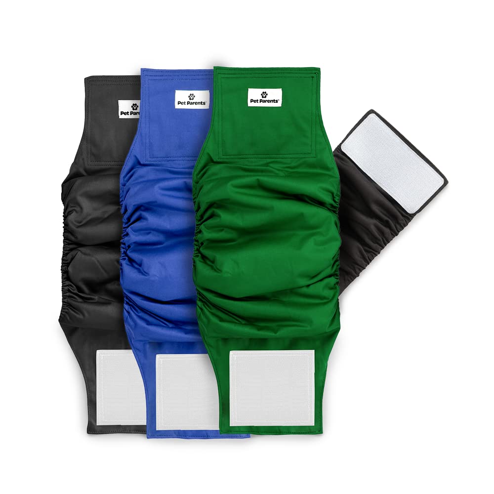 Pet Parents Animal Incontinence Protector in X-Small (11-13"), Gentlemen