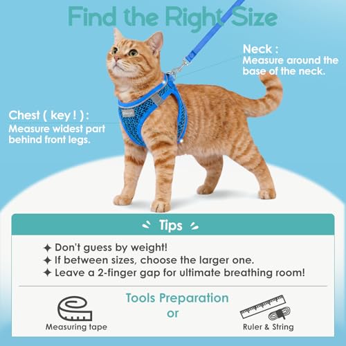 Oriwings Animal Harness in XXS, Blue