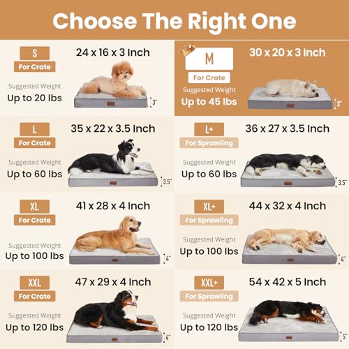 OhGeni Pet Bed Mat in 30" x 20" x 3" (For Sprawling), 01-Gray